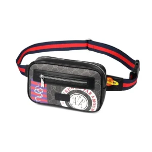 Gucci Patterned Waist bag: A Trendy
