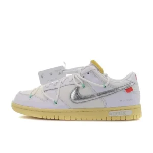 Nike Dunk Sneakers: Futuristic