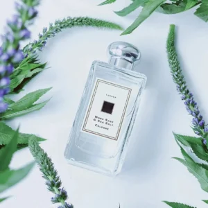 - Jo Malone Wood Sage & Sea Salt