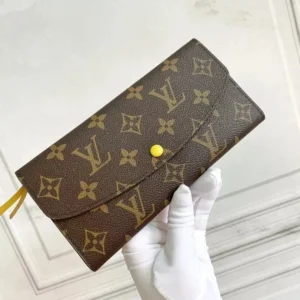 Louis Vuitton Brown Wallet: Exquisite