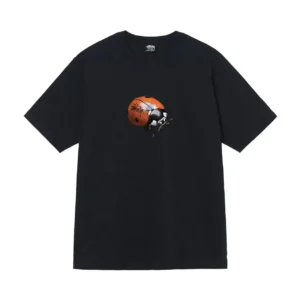 Stussy Black T Shirt with Ladybug, Urban