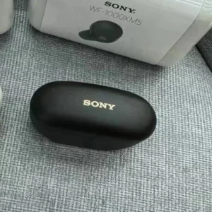 Sony WF 1000XM5 Black Earbuds: Noise