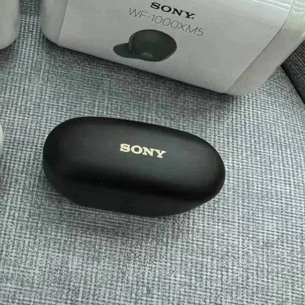 Sony WF 1000XM5 Black Earbuds: Noise