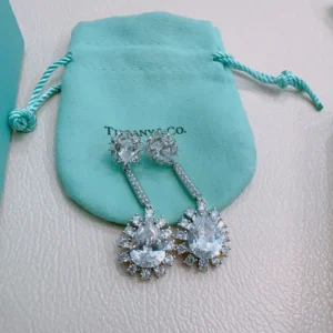 Tiffany & Co Series Diamond Drop