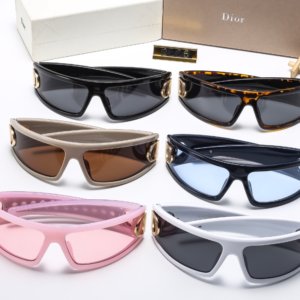 Dior 2225 Sunglasses - 30 Fashionable Options